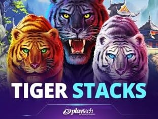 Tiger Stacks Game Cover